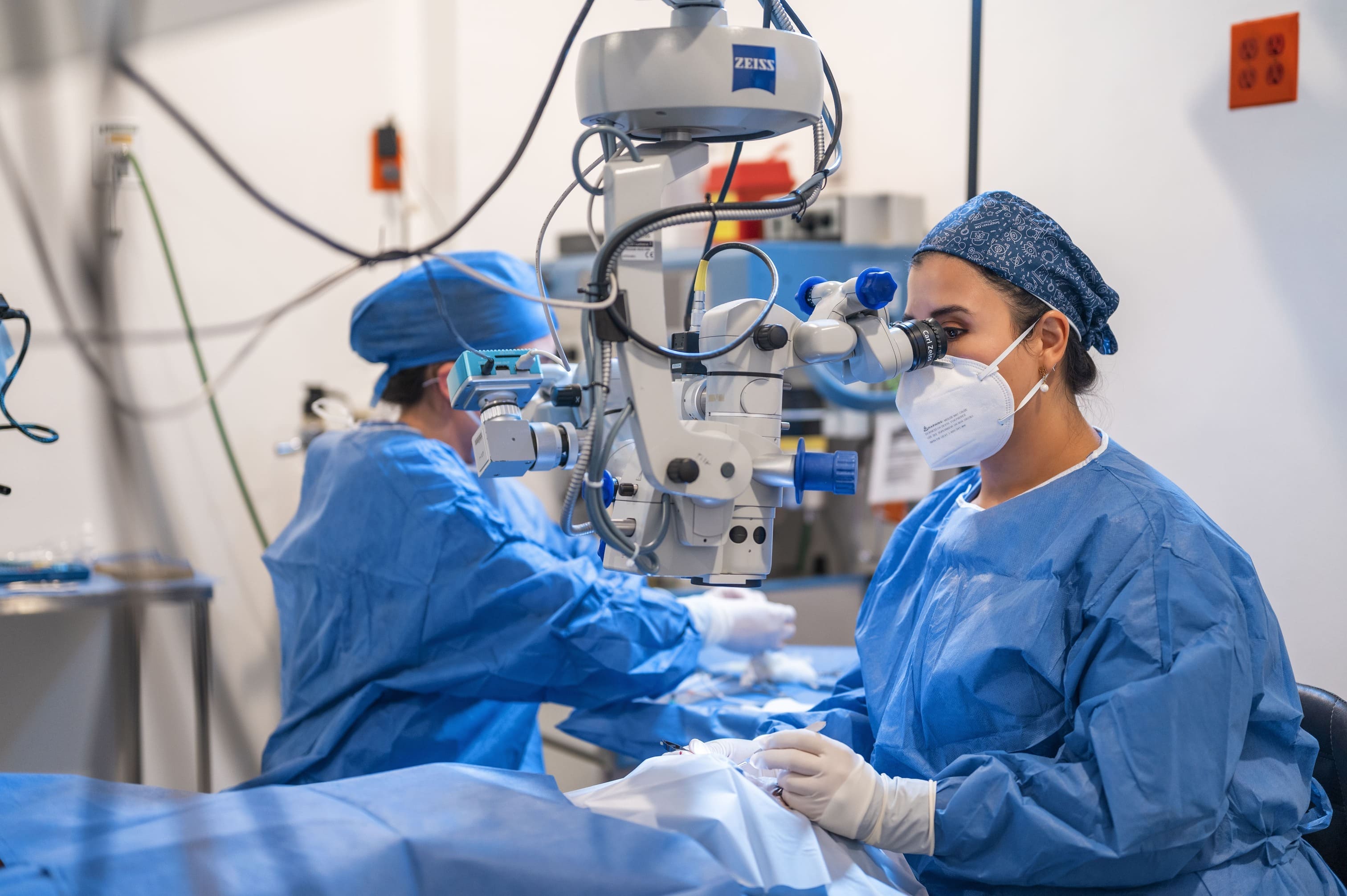 servicios destacados